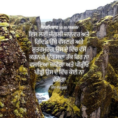 Picture 04 - ਯਿਰਮਿਯਾਹ 50:39 PANIRV - ਇਸ ਲਈ ਜੰਗਲੀ ਜਾਨਵਰ - Bible Verse Picture