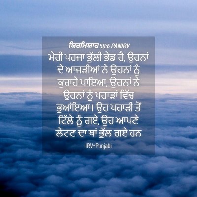 Picture 04 - ਯਿਰਮਿਯਾਹ 50:6 PANIRV - ਮੇਰੀ ਪਰਜਾ ਭੁੱਲੀ - Bible Verse Picture