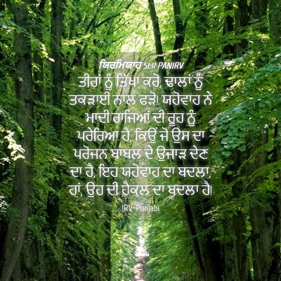 Picture 04 - ਯਿਰਮਿਯਾਹ 51:11 PANIRV - ਤੀਰਾਂ ਨੂੰ ਤਿੱਖਾ - Bible Verse Picture