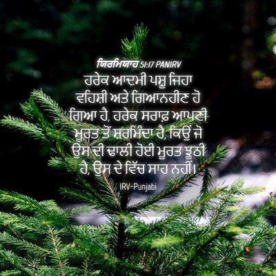 Picture 04 - ਯਿਰਮਿਯਾਹ 51:17 PANIRV - ਹਰੇਕ ਆਦਮੀ ਪਸ਼ੂ - Bible Verse Picture
