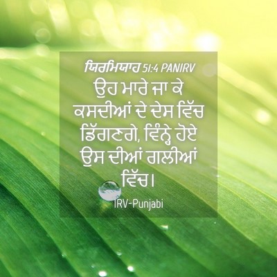 Picture 04 - ਯਿਰਮਿਯਾਹ 51:4 PANIRV - ਉਹ ਮਾਰੇ ਜਾ ਕੇ - Bible Verse Picture