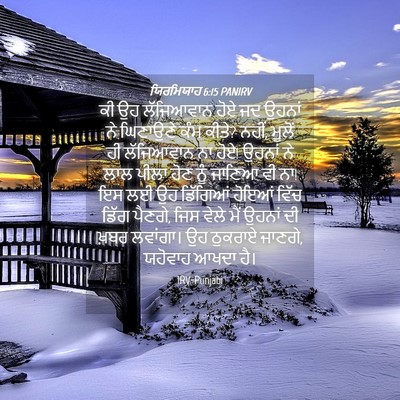 Picture 04 - ਯਿਰਮਿਯਾਹ 6:15 PANIRV - ਕੀ ਉਹ ਲੱਜਿਆਵਾਨ ਹੋਏ - Bible Verse Picture