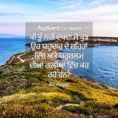 Picture 04 - ਯਿਰਮਿਯਾਹ 7:17 PANIRV - ਕੀ ਤੂੰ ਨਹੀਂ ਦੇਖਦਾ - Bible Verse Picture