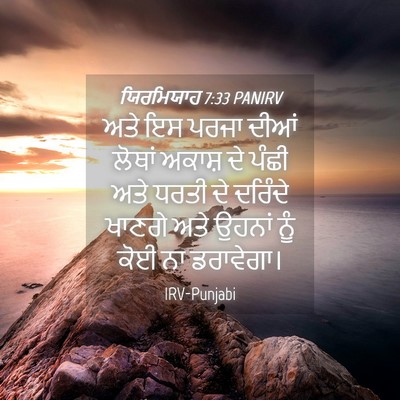 Picture 04 - ਯਿਰਮਿਯਾਹ 7:33 PANIRV - ਅਤੇ ਇਸ ਪਰਜਾ ਦੀਆਂ - Bible Verse Picture