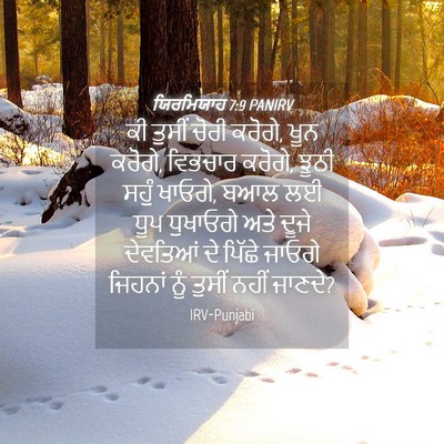 Picture 04 - ਯਿਰਮਿਯਾਹ 7:9 PANIRV - ਕੀ ਤੁਸੀਂ ਚੋਰੀ - Bible Verse Picture