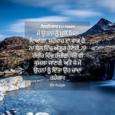 Picture 04 - ਯਿਰਮਿਯਾਹ 8:13 PANIRV - ਮੈਂ ਉਹਨਾਂ ਨੂੰ - Bible Verse Picture
