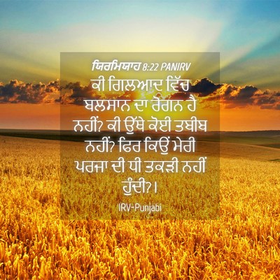 Picture 04 - ਯਿਰਮਿਯਾਹ 8:22 PANIRV - ਕੀ ਗਿਲਆਦ ਵਿੱਚ - Bible Verse Picture