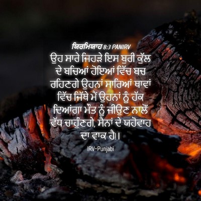 Picture 04 - ਯਿਰਮਿਯਾਹ 8:3 PANIRV - ਉਹ ਸਾਰੇ ਜਿਹੜੇ ਇਸ - Bible Verse Picture