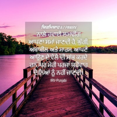 Picture 04 - ਯਿਰਮਿਯਾਹ 8:7 PANIRV - ਨਾਲੇ ਹਵਾਈ ਲਮਢੀਂਗ - Bible Verse Picture