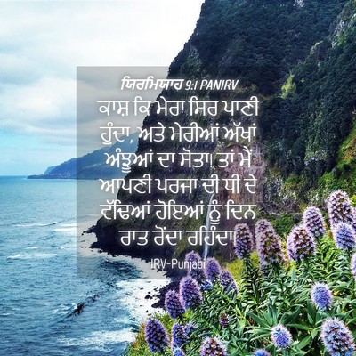 Picture 04 - ਯਿਰਮਿਯਾਹ 9:1 PANIRV - ਕਾਸ਼ ਕਿ ਮੇਰਾ ਸਿਰ - Bible Verse Picture