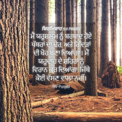 Picture 04 - ਯਿਰਮਿਯਾਹ 9:11 PANIRV - ਮੈਂ ਯਰੂਸ਼ਲਮ ਨੂੰ - Bible Verse Picture