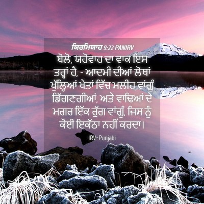 Picture 04 - ਯਿਰਮਿਯਾਹ 9:22 PANIRV - ਬੋਲੋ, ਯਹੋਵਾਹ ਦਾ ਵਾਕ - Bible Verse Picture