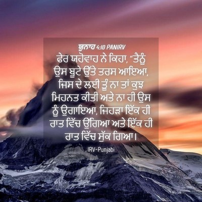 Picture 04 - ਯੂਨਾਹ 4:10 PANIRV - ਫੇਰ ਯਹੋਵਾਹ ਨੇ ਕਿਹਾ, - Bible Verse Picture