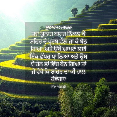 Picture 04 - ਯੂਨਾਹ 4:5 PANIRV - ਤਦ ਯੂਨਾਹ ਬਾਹਰ - Bible Verse Picture