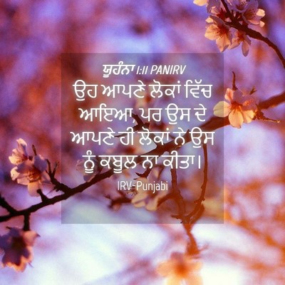 Picture 04 - ਯੂਹੰਨਾ 1:11 PANIRV - ਉਹ ਆਪਣੇ ਲੋਕਾਂ ਵਿੱਚ - Bible Verse Picture