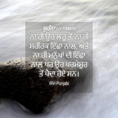Picture 04 - ਯੂਹੰਨਾ 1:13 PANIRV - ਨਾ ਹੀ ਉਹ ਲਹੂ ਤੋਂ, ਨਾ - Bible Verse Picture