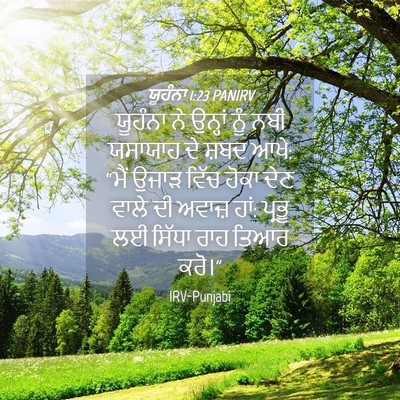 Picture 04 - ਯੂਹੰਨਾ 1:23 PANIRV - ਯੂਹੰਨਾ ਨੇ ਉਨ੍ਹਾਂ - Bible Verse Picture