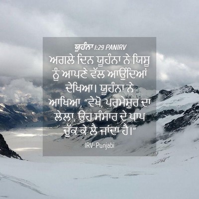 Picture 04 - ਯੂਹੰਨਾ 1:29 PANIRV - ਅਗਲੇ ਦਿਨ ਯੂਹੰਨਾ ਨੇ - Bible Verse Picture