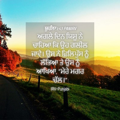 Picture 04 - ਯੂਹੰਨਾ 1:43 PANIRV - ਅਗਲੇ ਦਿਨ ਯਿਸੂ ਨੇ - Bible Verse Picture
