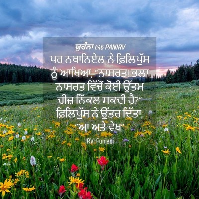 Picture 04 - ਯੂਹੰਨਾ 1:46 PANIRV - ਪਰ ਨਥਾਨਿਏਲ ਨੇ - Bible Verse Picture