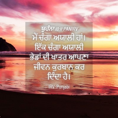 Picture 04 - ਯੂਹੰਨਾ 10:11 PANIRV - ਮੈਂ ਚੰਗਾ ਅਯਾਲੀ - Bible Verse Picture