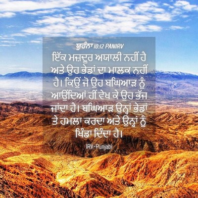 Picture 04 - ਯੂਹੰਨਾ 10:12 PANIRV - ਇੱਕ ਮਜ਼ਦੂਰ ਅਯਾਲੀ - Bible Verse Picture