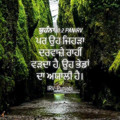 Picture 04 - ਯੂਹੰਨਾ 10:2 PANIRV - ਪਰ ਉਹ ਜਿਹੜਾ - Bible Verse Picture