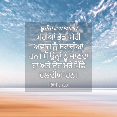 Picture 04 - ਯੂਹੰਨਾ 10:27 PANIRV - ਮੇਰੀਆਂ ਭੇਡਾਂ ਮੇਰੀ - Bible Verse Picture