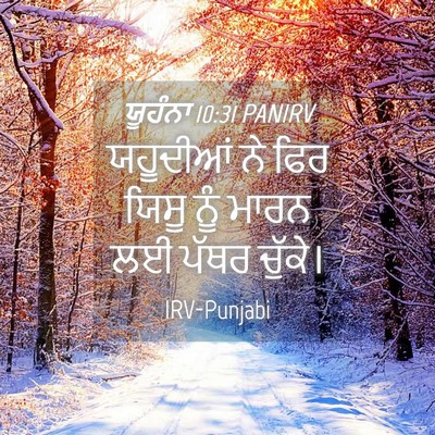 Picture 04 - ਯੂਹੰਨਾ 10:31 PANIRV - ਯਹੂਦੀਆਂ ਨੇ ਫਿਰ - Bible Verse Picture