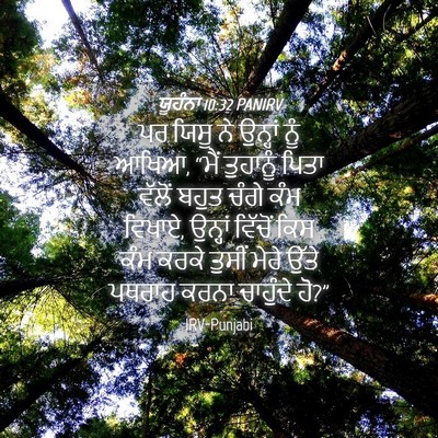 Picture 04 - ਯੂਹੰਨਾ 10:32 PANIRV - ਪਰ ਯਿਸੂ ਨੇ ਉਨ੍ਹਾਂ - Bible Verse Picture