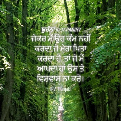 Picture 04 - ਯੂਹੰਨਾ 10:37 PANIRV - ਜੇਕਰ ਮੈਂ ਉਹ ਕੰਮ - Bible Verse Picture