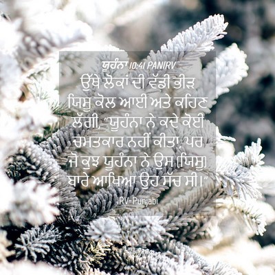 Picture 04 - ਯੂਹੰਨਾ 10:41 PANIRV - ਉੱਥੇ ਲੋਕਾਂ ਦੀ ਵੱਡੀ - Bible Verse Picture
