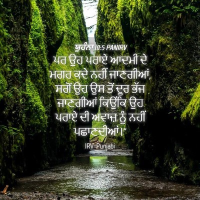 Picture 04 - ਯੂਹੰਨਾ 10:5 PANIRV - ਪਰ ਉਹ ਪਰਾਏ ਆਦਮੀ ਦੇ - Bible Verse Picture
