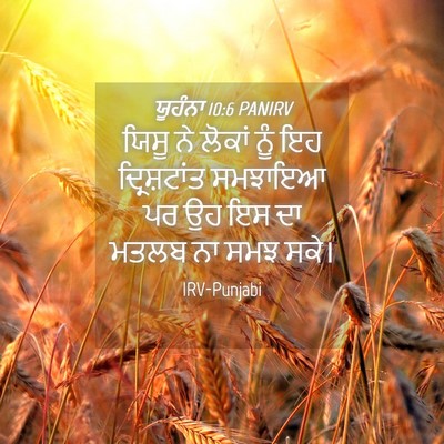Picture 04 - ਯੂਹੰਨਾ 10:6 PANIRV - ਯਿਸੂ ਨੇ ਲੋਕਾਂ ਨੂੰ - Bible Verse Picture