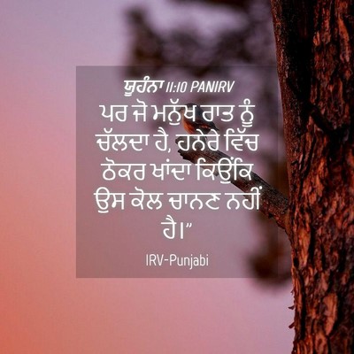Picture 04 - ਯੂਹੰਨਾ 11:10 PANIRV - ਪਰ ਜੋ ਮਨੁੱਖ ਰਾਤ ਨੂੰ - Bible Verse Picture