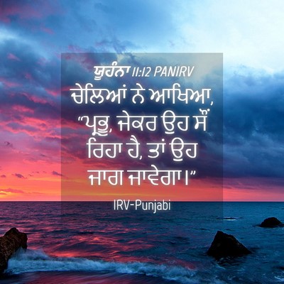 Picture 04 - ਯੂਹੰਨਾ 11:12 PANIRV - ਚੇਲਿਆਂ ਨੇ ਆਖਿਆ, - Bible Verse Picture