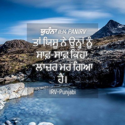 Picture 04 - ਯੂਹੰਨਾ 11:14 PANIRV - ਤਾਂ ਯਿਸੂ ਨੇ ਉਨ੍ਹਾਂ - Bible Verse Picture