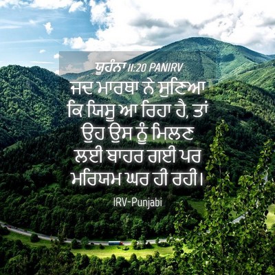 Picture 04 - ਯੂਹੰਨਾ 11:20 PANIRV - ਜਦ ਮਾਰਥਾ ਨੇ ਸੁਣਿਆ - Bible Verse Picture