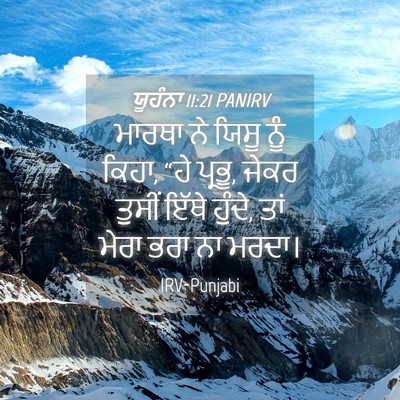 Picture 04 - ਯੂਹੰਨਾ 11:21 PANIRV - ਮਾਰਥਾ ਨੇ ਯਿਸੂ ਨੂੰ - Bible Verse Picture