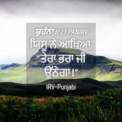 Picture 04 - ਯੂਹੰਨਾ 11:23 PANIRV - ਯਿਸੂ ਨੇ ਆਖਿਆ, “ਤੇਰਾ - Bible Verse Picture