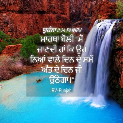 Picture 04 - ਯੂਹੰਨਾ 11:24 PANIRV - ਮਾਰਥਾ ਬੋਲੀ “ਮੈਂ - Bible Verse Picture