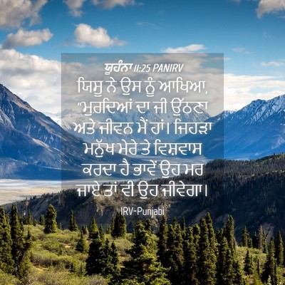 Picture 04 - ਯੂਹੰਨਾ 11:25 PANIRV - ਯਿਸੂ ਨੇ ਉਸ ਨੂੰ - Bible Verse Picture