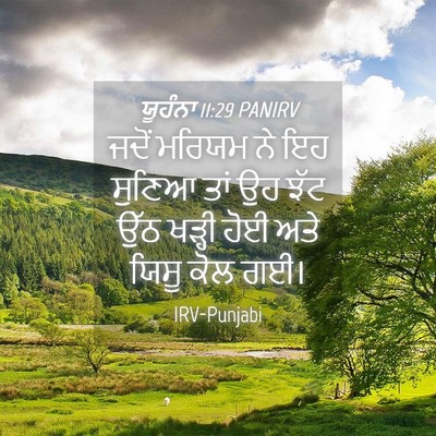 Picture 04 - ਯੂਹੰਨਾ 11:29 PANIRV - ਜਦੋਂ ਮਰਿਯਮ ਨੇ ਇਹ - Bible Verse Picture