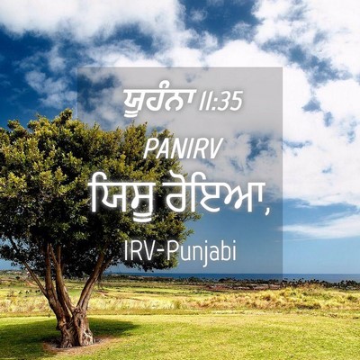 Picture 04 - ਯੂਹੰਨਾ 11:35 PANIRV - ਯਿਸੂ - Bible Verse Picture