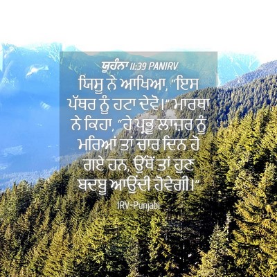 Picture 04 - ਯੂਹੰਨਾ 11:39 PANIRV - ਯਿਸੂ ਨੇ ਆਖਿਆ, “ਇਸ - Bible Verse Picture