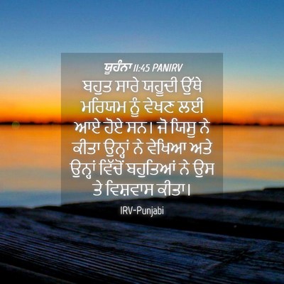 Picture 04 - ਯੂਹੰਨਾ 11:45 PANIRV - ਬਹੁਤ ਸਾਰੇ ਯਹੂਦੀ - Bible Verse Picture