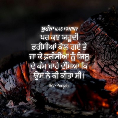 Picture 04 - ਯੂਹੰਨਾ 11:46 PANIRV - ਪਰ ਕੁਝ ਯਹੂਦੀ - Bible Verse Picture