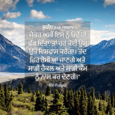 Picture 04 - ਯੂਹੰਨਾ 11:48 PANIRV - ਜੇਕਰ ਅਸੀਂ ਇਸ ਨੂੰ - Bible Verse Picture