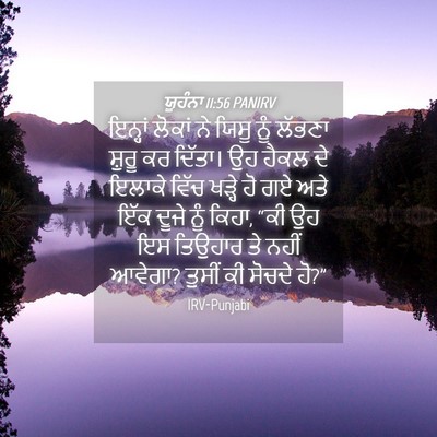 Picture 04 - ਯੂਹੰਨਾ 11:56 PANIRV - ਇਨ੍ਹਾਂ ਲੋਕਾਂ ਨੇ - Bible Verse Picture