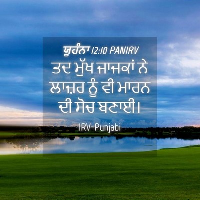 Picture 04 - ਯੂਹੰਨਾ 12:10 PANIRV - ਤਦ ਮੁੱਖ ਜਾਜਕਾਂ ਨੇ - Bible Verse Picture